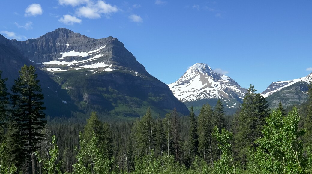 summer day shot of mountains from jackson glacier overlook glacier national park