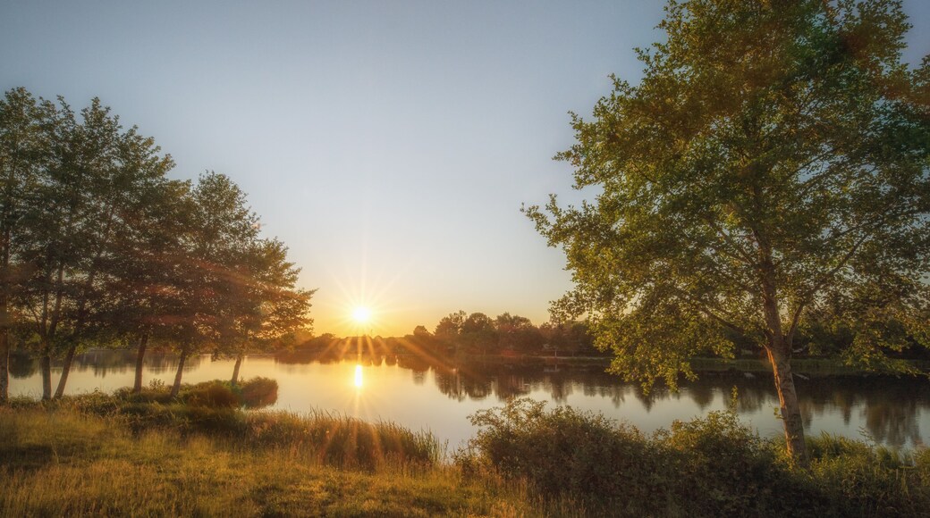 Coucher de soleil à l'étang Fouché, Arnay-le-Duc, Côte d'Or, France