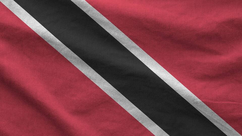A flag with diagonal stripes of red, black, and white.