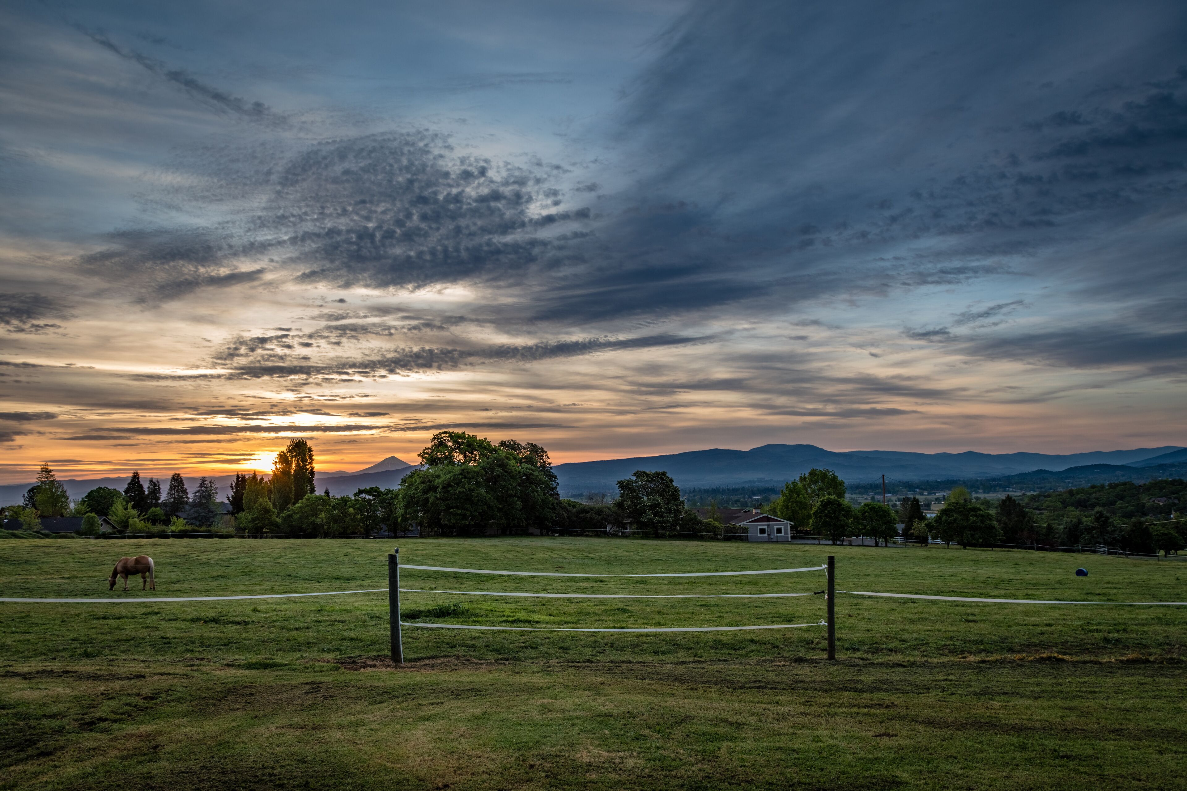 A blonde horse grazes in a field at sunrise near Jacksonville Oregon