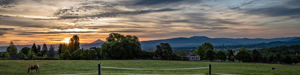 A blonde horse grazes in a field at sunrise near Jacksonville Oregon