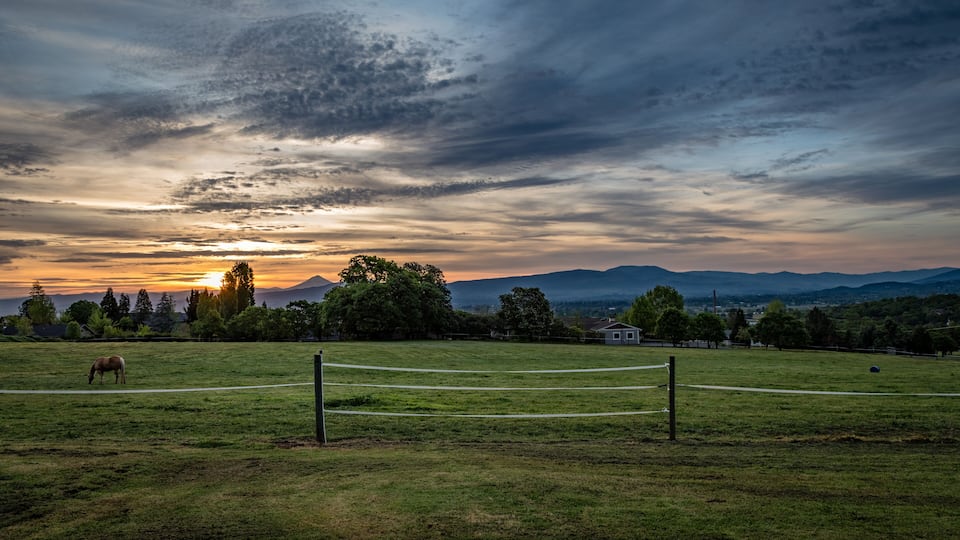 A sunset over a grassy field with a horse grazing, a fence, and distant mountains.