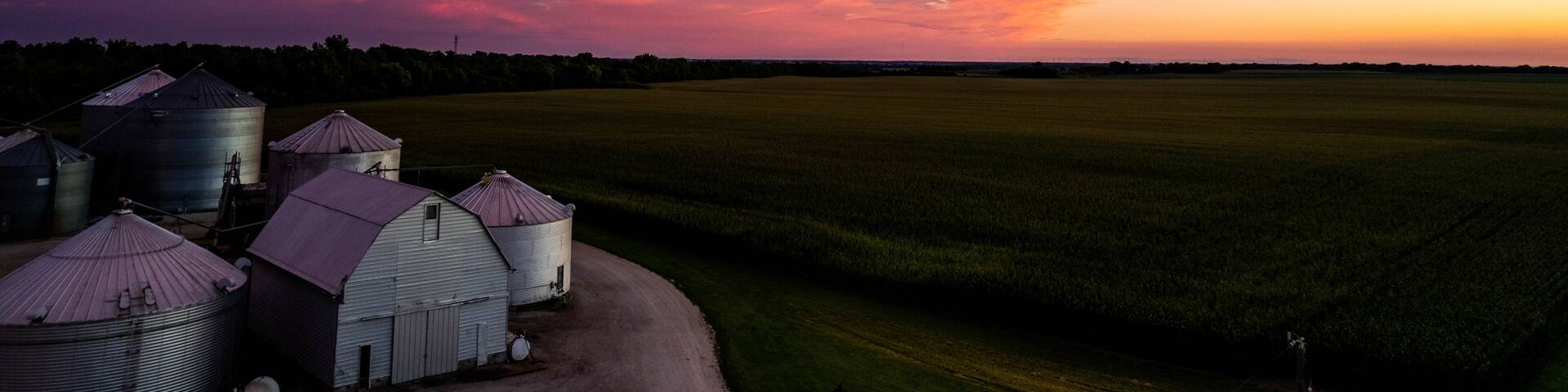sunset over corn field in Atlanta, Illinois