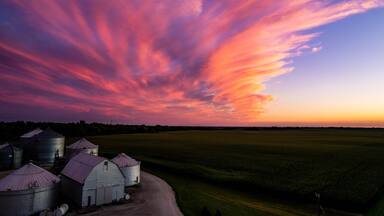 sunset over corn field in Atlanta, Illinois