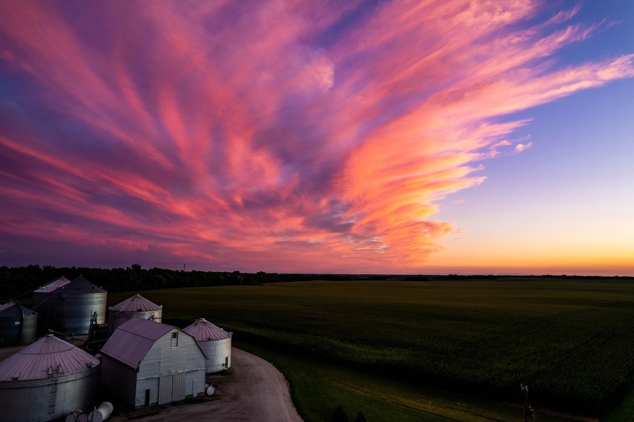 sunset over corn field in Atlanta, Illinois