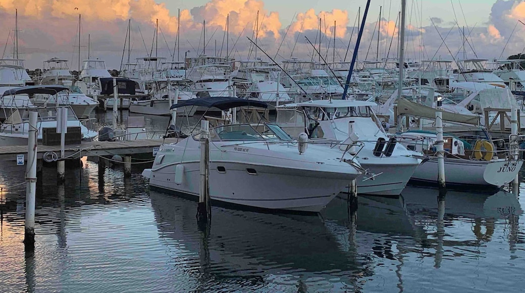 After an afternoon boating with Kayaking Puerto the sun and the clouds bid us farewell in the marina.
