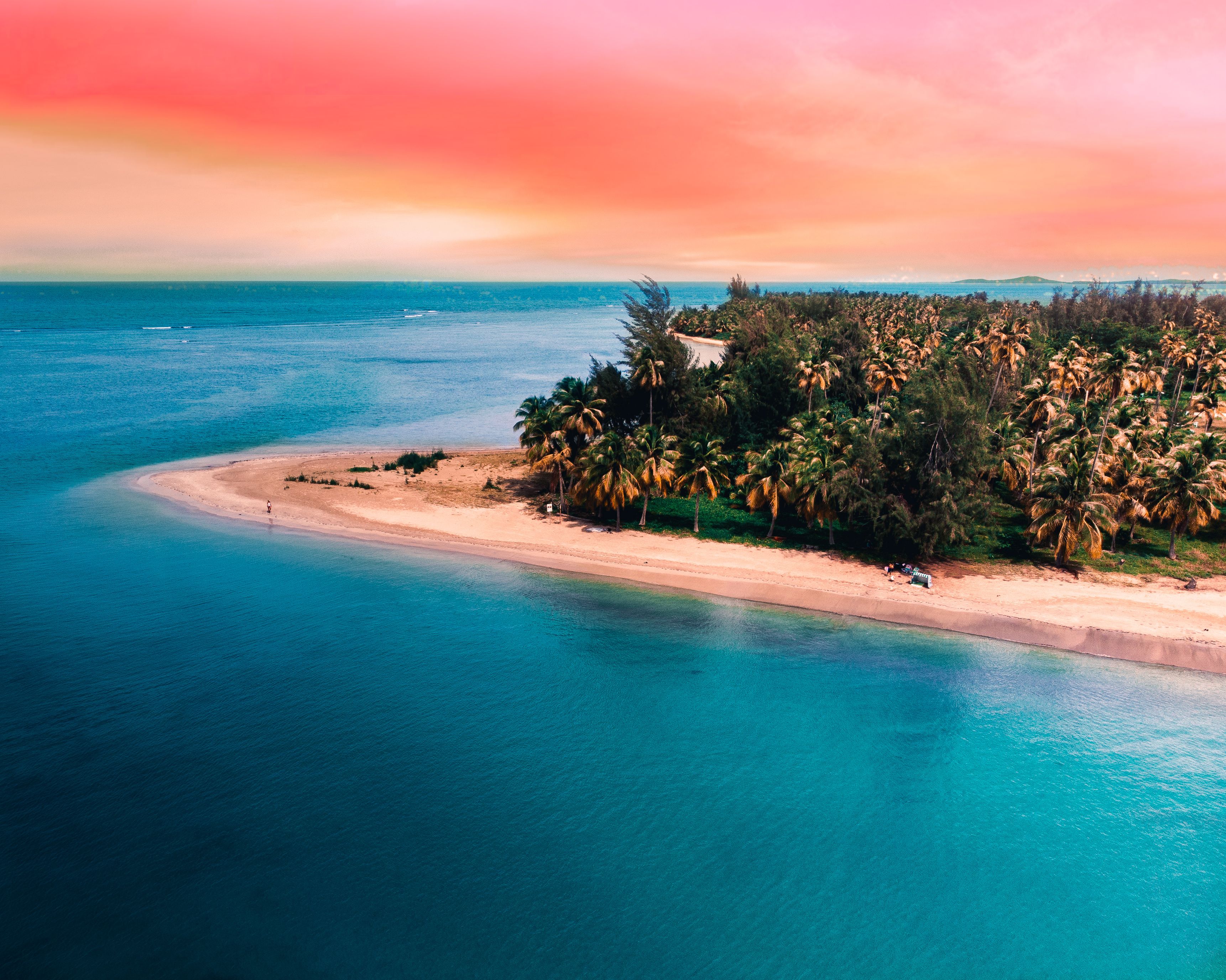A tropical island with a clear turquoise sea, a sandy beach, and dense palm trees.