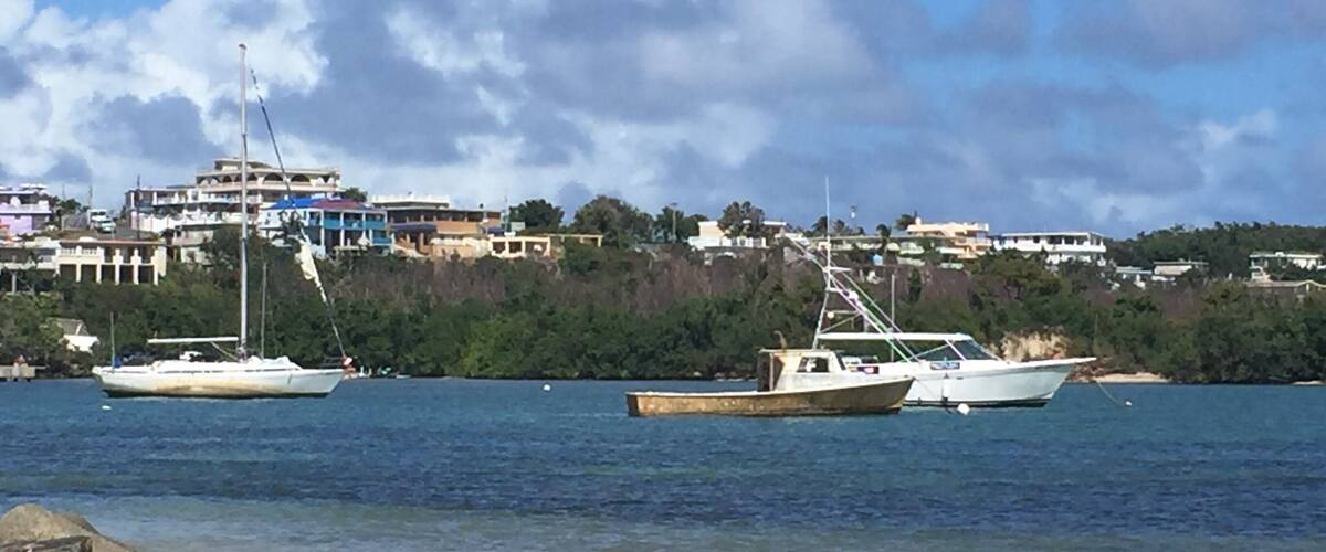 #LifeAtExpedia
Just months after Hurricane Maria