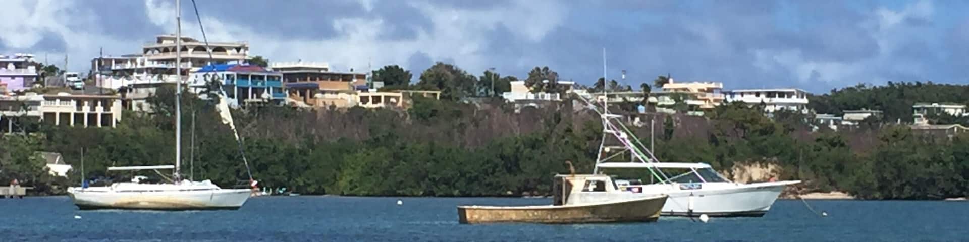 #LifeAtExpedia
Just months after Hurricane Maria