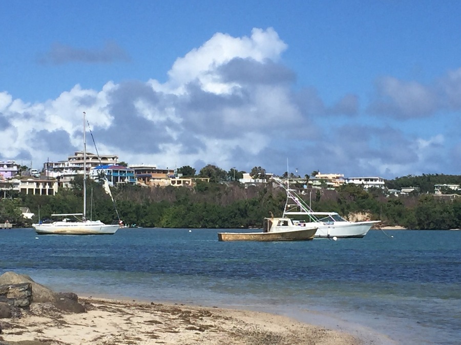 #LifeAtExpedia
Just months after Hurricane Maria