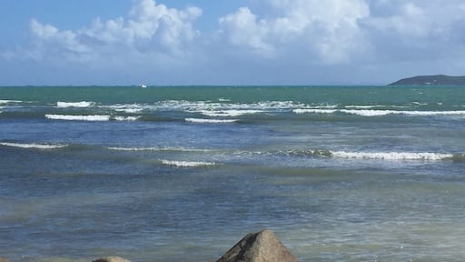 #LifeAtExpedia
Just months after Hurricane Maria