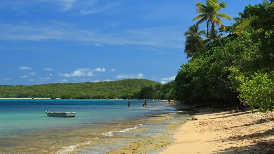 A beach with clear turquoise water, a small boat, and palm trees.