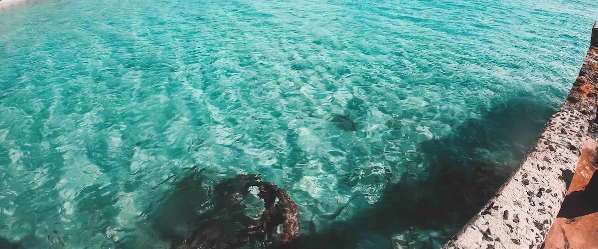 DID YOU KNOW that San Juan #PuertoRico is the Oldest continuously inhabited city in a US territory!! Here you will find a LOT of HISTORY, beautiful historical spanish  buildings, a huge 16th century Fort named Castillo San Felipe del Morro and many more adventures! Let me tell you about the delicious Food, Gorgeous Views, plenty of cristal clear water Beaches, Rivers, Waterfalls, a Rainforest, Mountains, summer all year round and lots of green areas with a peaceful wildlife! Friendly locals who will make you feel right at home. Life in the Caribbean is always better, but in Puerto Rico is something else!! 😍♥️🇵🇷  
•
•
•
•
•
•
#travelwriter #travel #instatravel #travelgram #tourism #instago #passportready #travelblogger #wanderlust #ilovetravel #instatravelling #travelblogger #instapassport #postcardsfromtheworld #travelling #trip #traveltheworld #igtravel #getaway #travelblog #instago #travelpics #tourist #wanderer #wanderlust #travelphoto 
#travelphotography #goprohero7 #caribbean