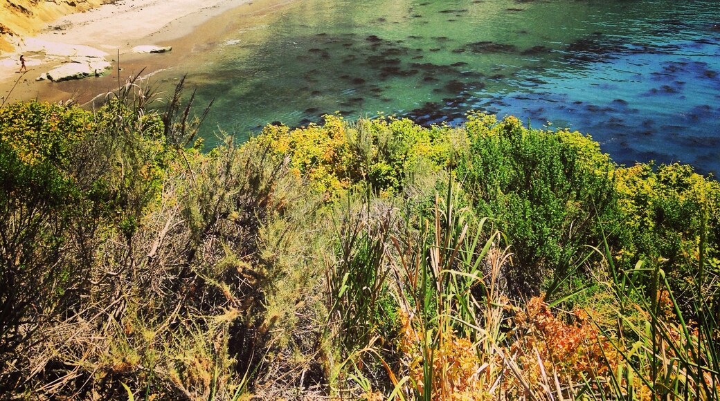 Nestled in the hills of Avila we have this pretty stretch of beach. On of my favorite hangouts. Clothes optional!
