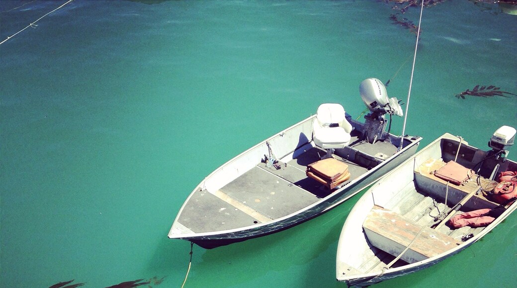 For your paddleboarding adventures! Beautiful place.