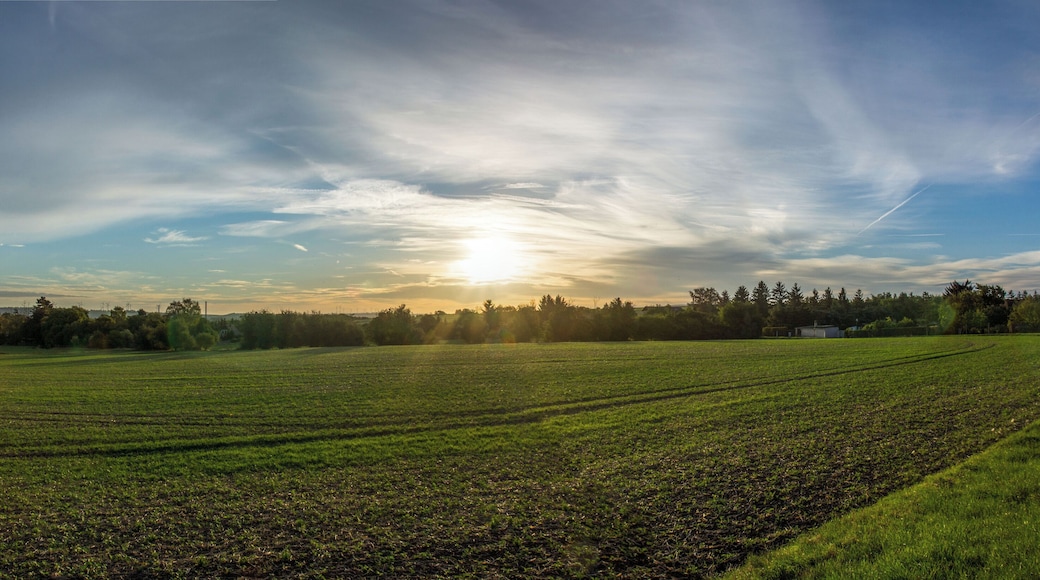 A part of Bad Langensalza