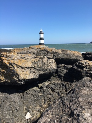 Just from a different angle