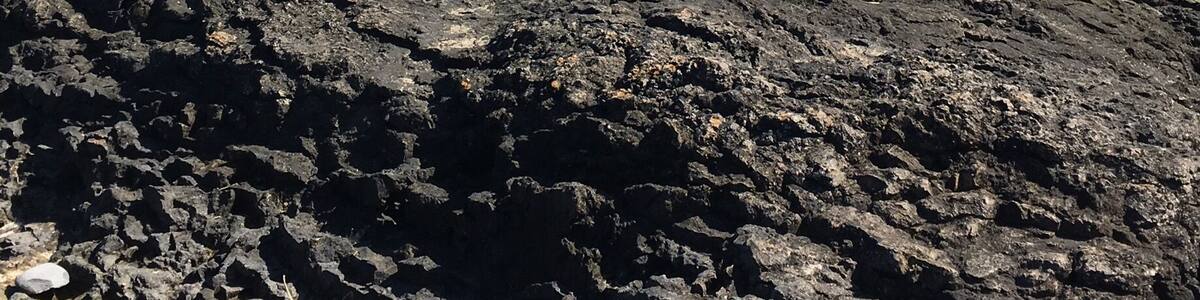 The lighthouse and in the background Puffin Island. Nice walking path and cafe nearby