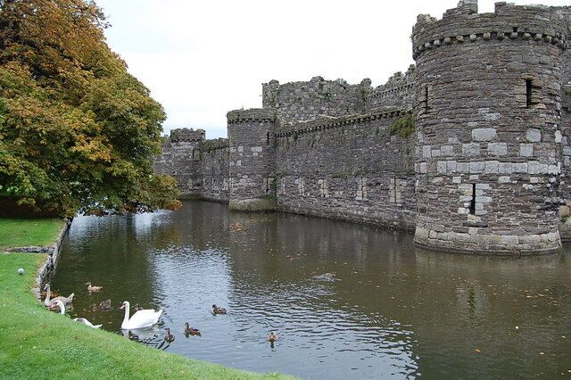 Un castillo de piedra histórico con un foso y cisnes.