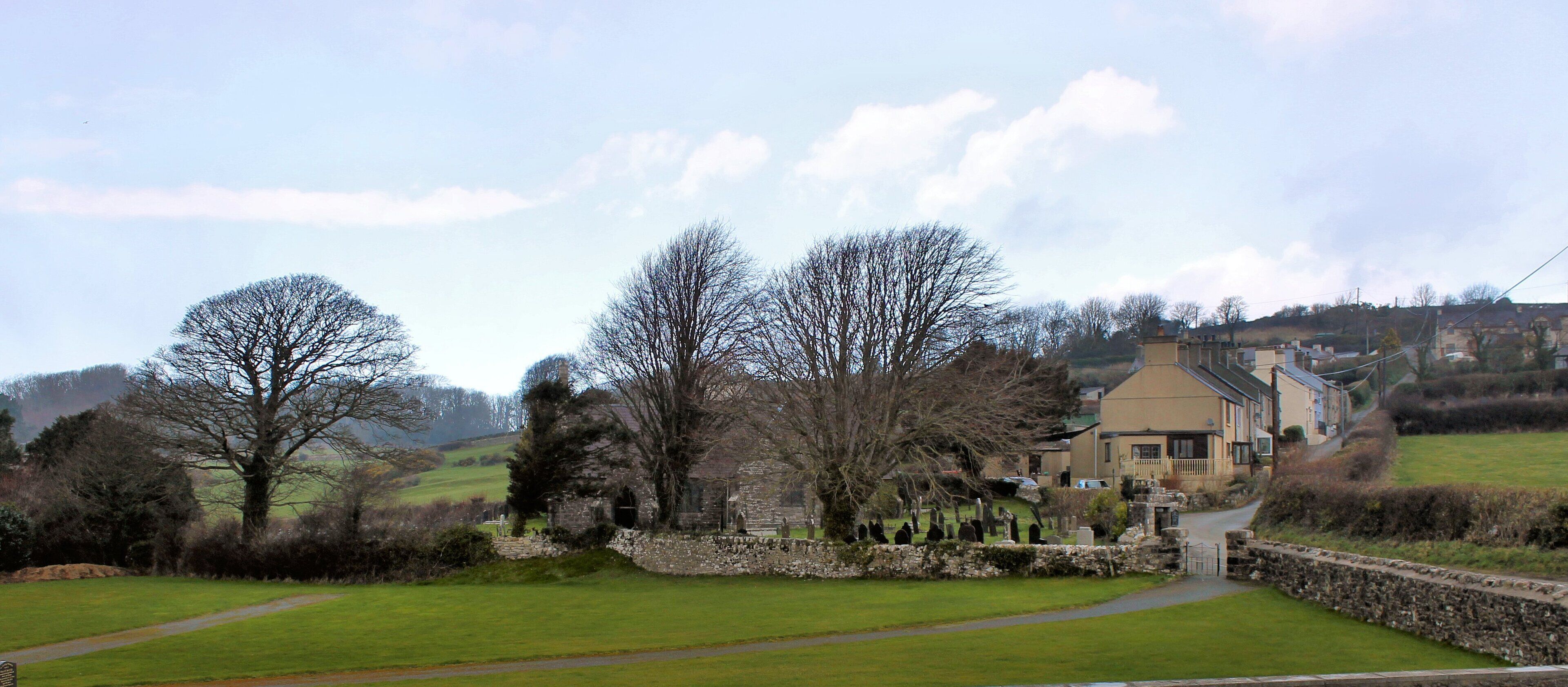 A rural landscape with a stone wall, a large tree, and a house in the background.