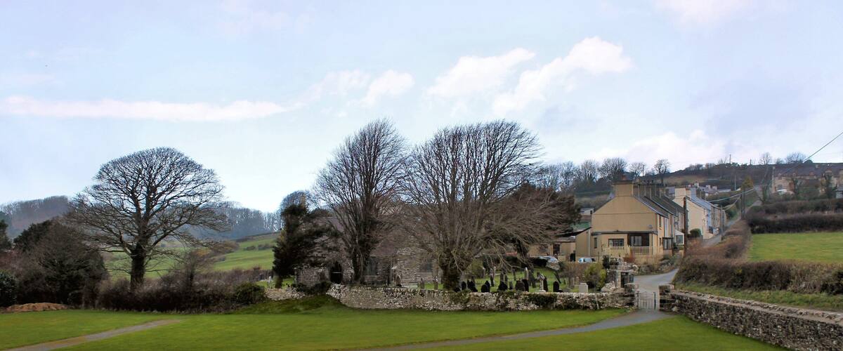 A rural landscape with a stone wall, a large tree, and a house in the background.
