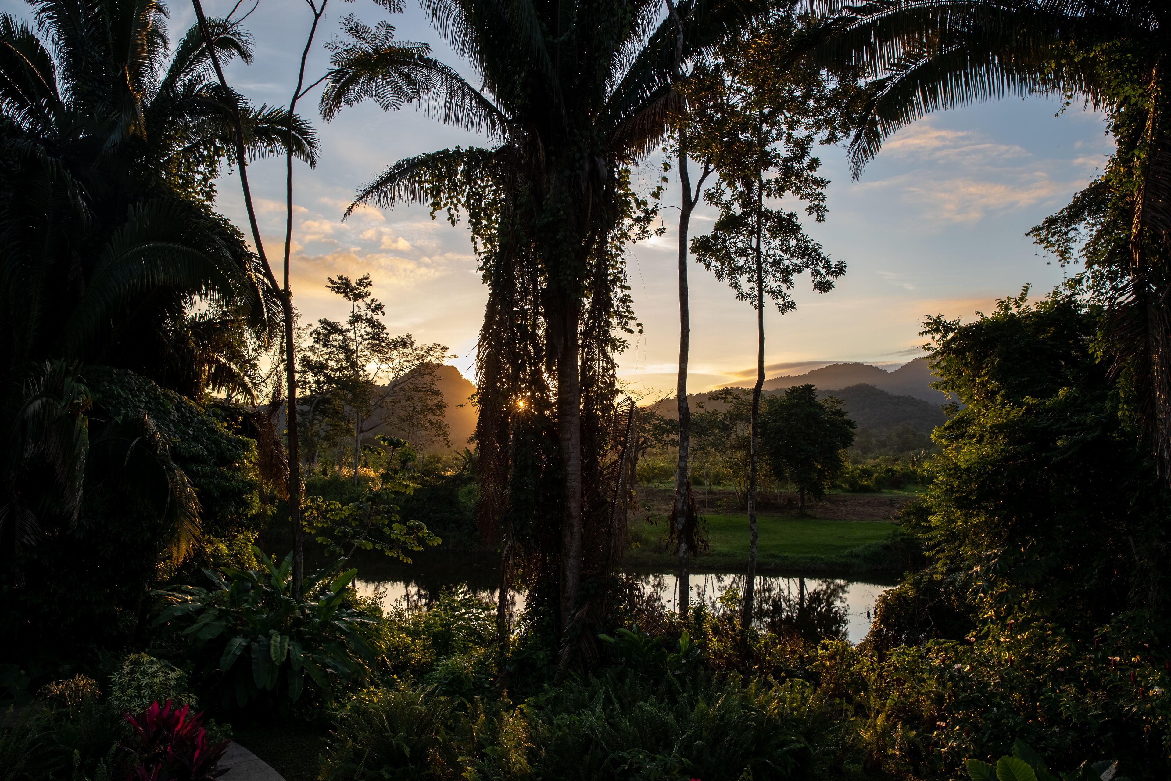 A tropical landscape with a body of water, palm trees, and a sunset.