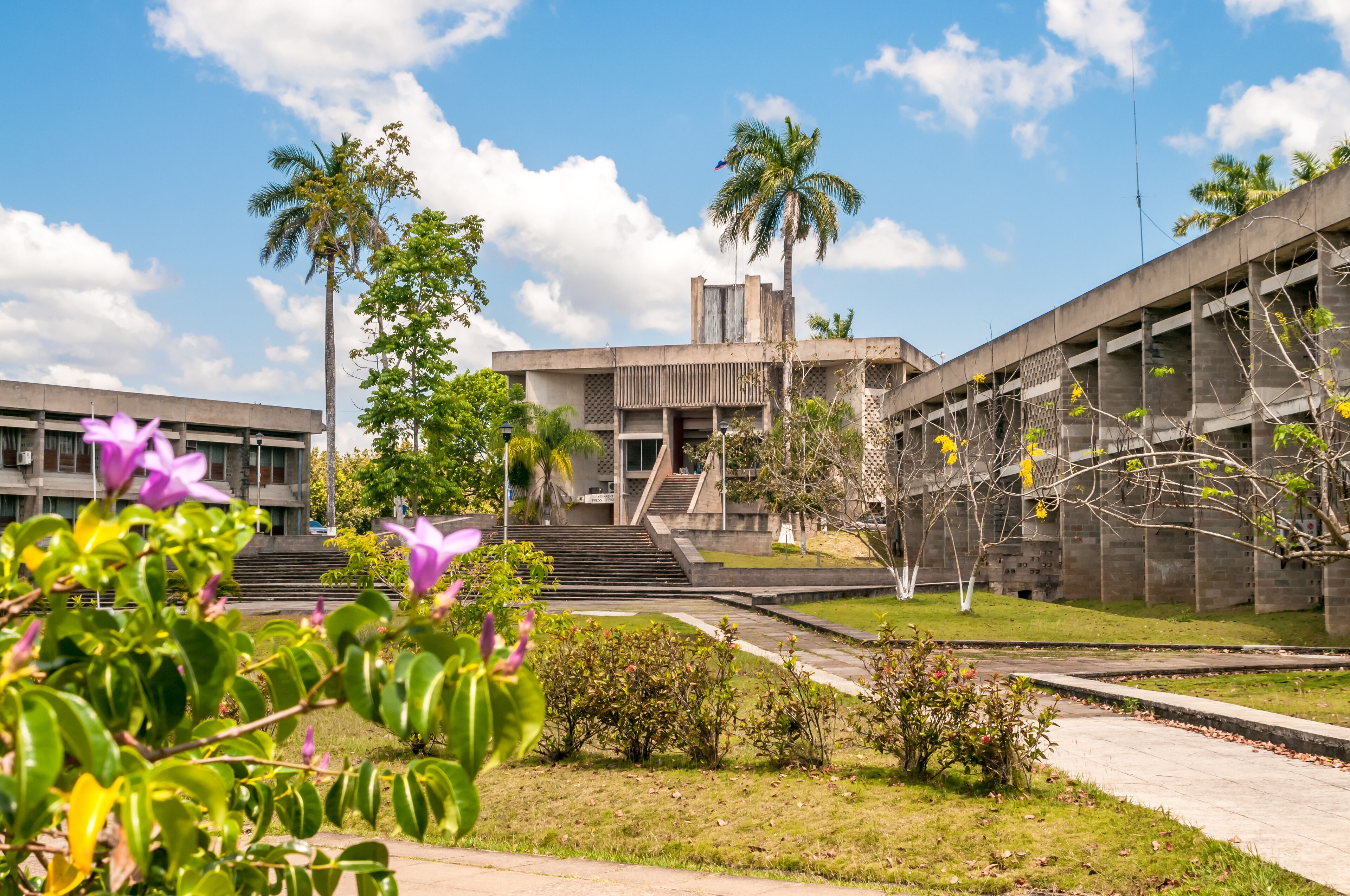 A modern building with a concrete facade, palm trees, and a clear blue sky.