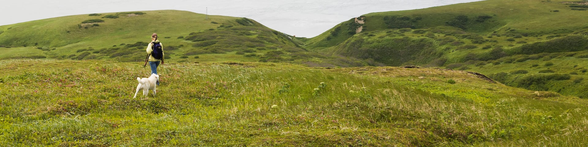 A Woman Hiking With Her Dog And Enjoying The View Of Isanotski Strait In False Pass, From Unimak Island's Eastern Shore; Alaska, United States Of America