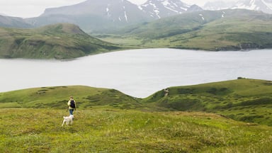 Um caminhante com um cão numa colina gramada com vista para um lago e montanhas ao fundo.