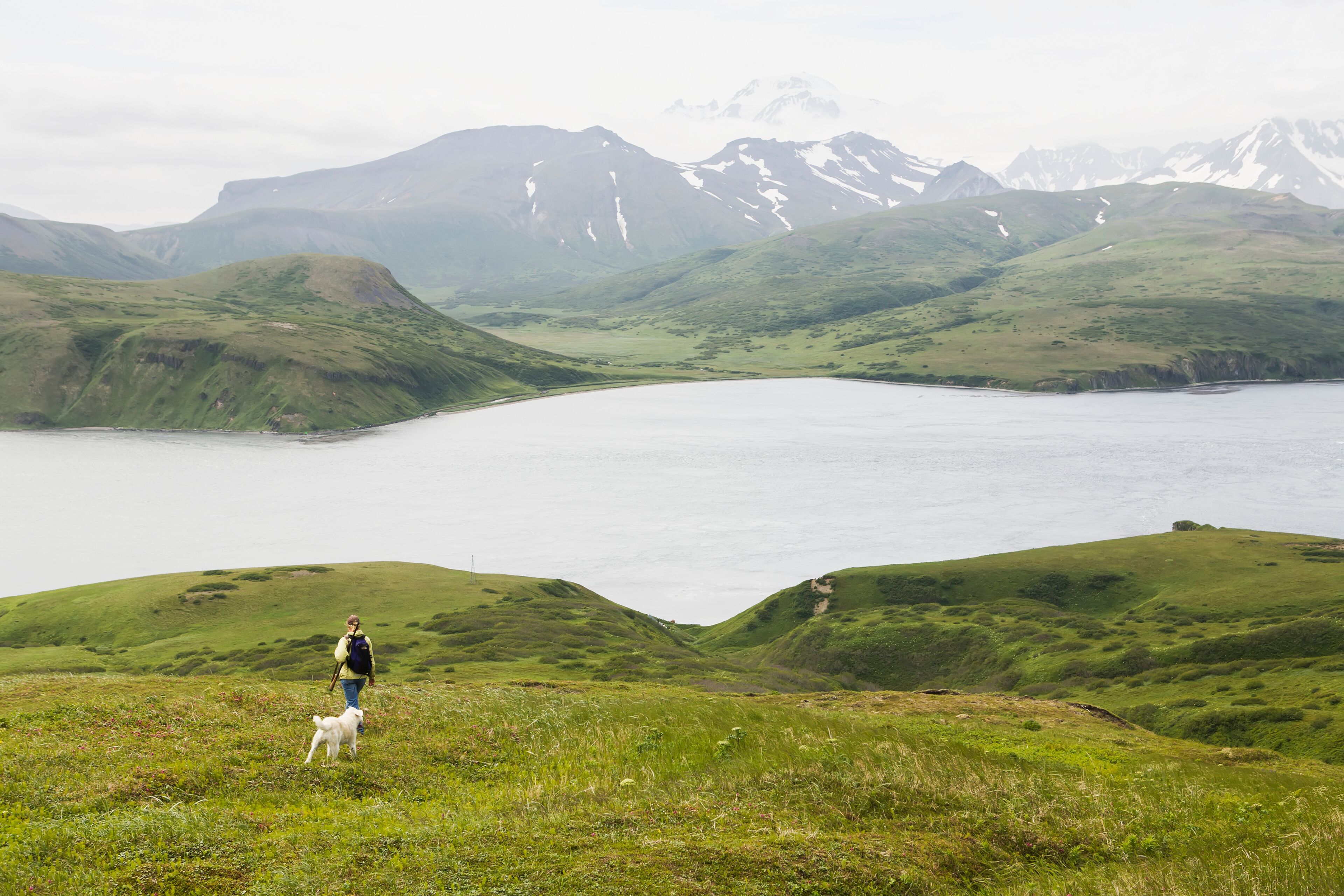 A hiker with a dog on a grassy hill overlooking a lake with mountains in the background.