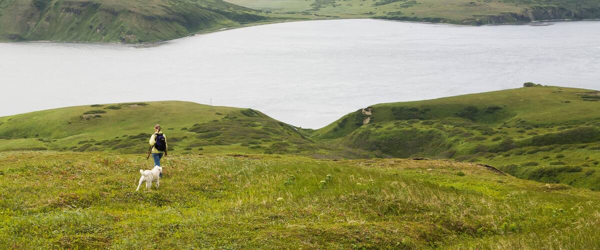 A hiker with a dog on a grassy hill overlooking a lake with mountains in the background.