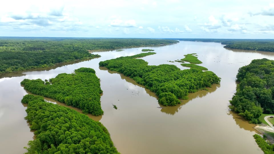 A river with multiple green islets surrounded by dense forest.