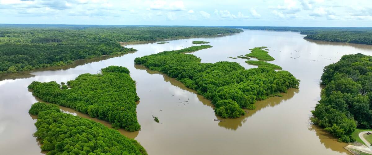 A river with multiple green islets surrounded by dense forest.