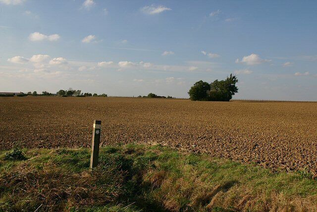 Footpath to RAF Wethersfield The path crosses this ploughed field, to the small grove of trees in the distance.