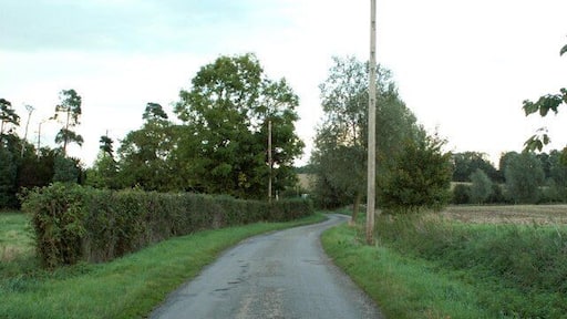 Country lane at Rayne, Essex This dead-end lane leads down to sewage works.