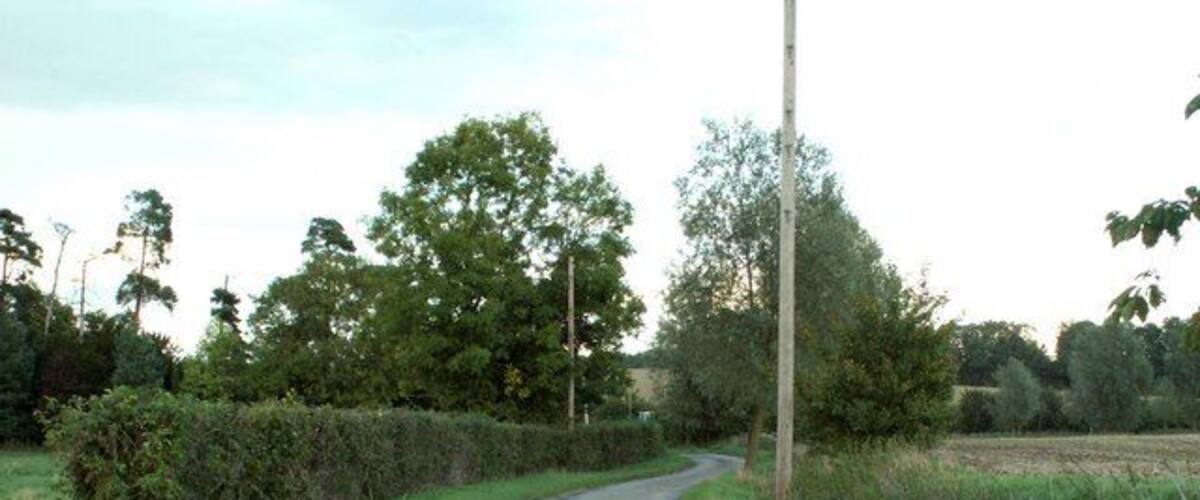 A narrow rural road flanked by hedgerows and trees, leading into a more open field.
