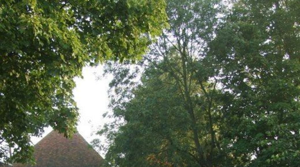 Old barn near Rayne Hall