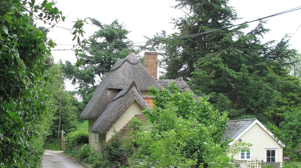 Road past Barley Fen, Wethersfield