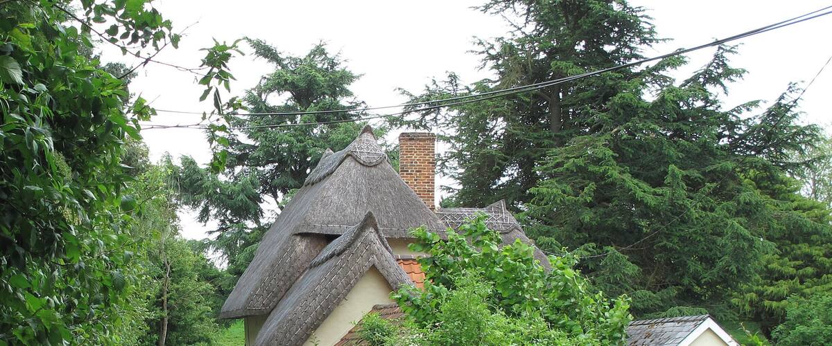A narrow road flanked by lush greenery and traditional thatched-roof houses.