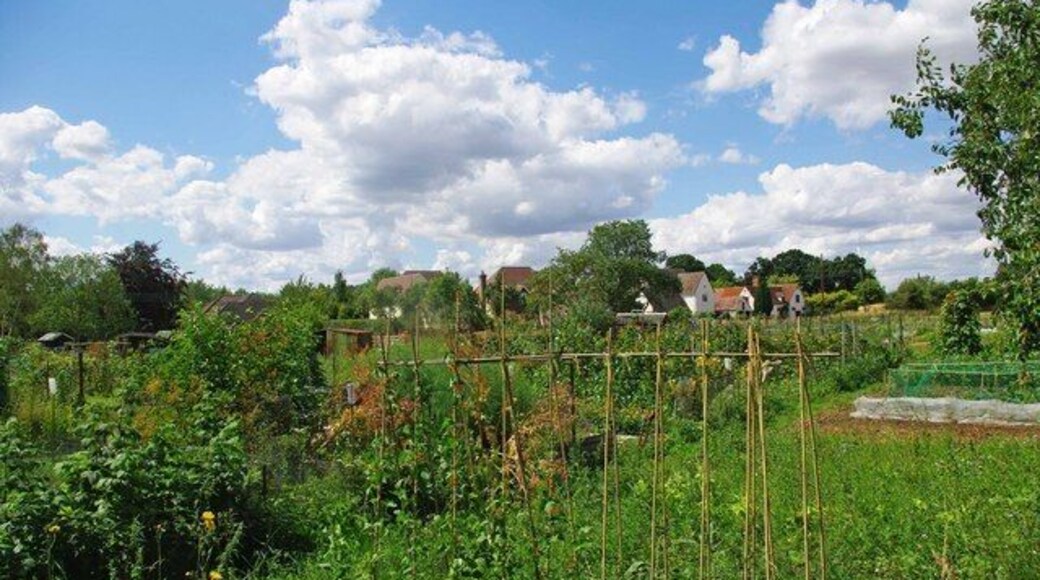 Stisted Allotments. The allotments in Stisted are near 252517
