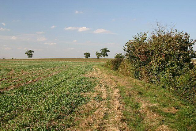Footpath to RAF Wethersfield This path leads from the minor road near New Barns to the perimeter fence of RAF Wethersfield, near White Hall Farm.