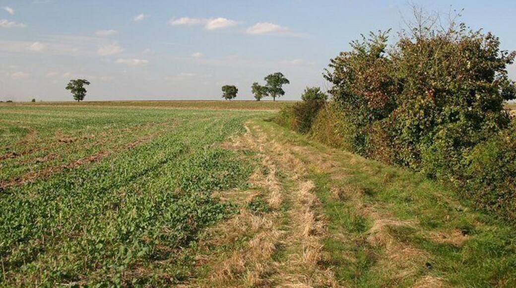 Footpath to RAF Wethersfield This path leads from the minor road near New Barns to the perimeter fence of RAF Wethersfield, near White Hall Farm.
