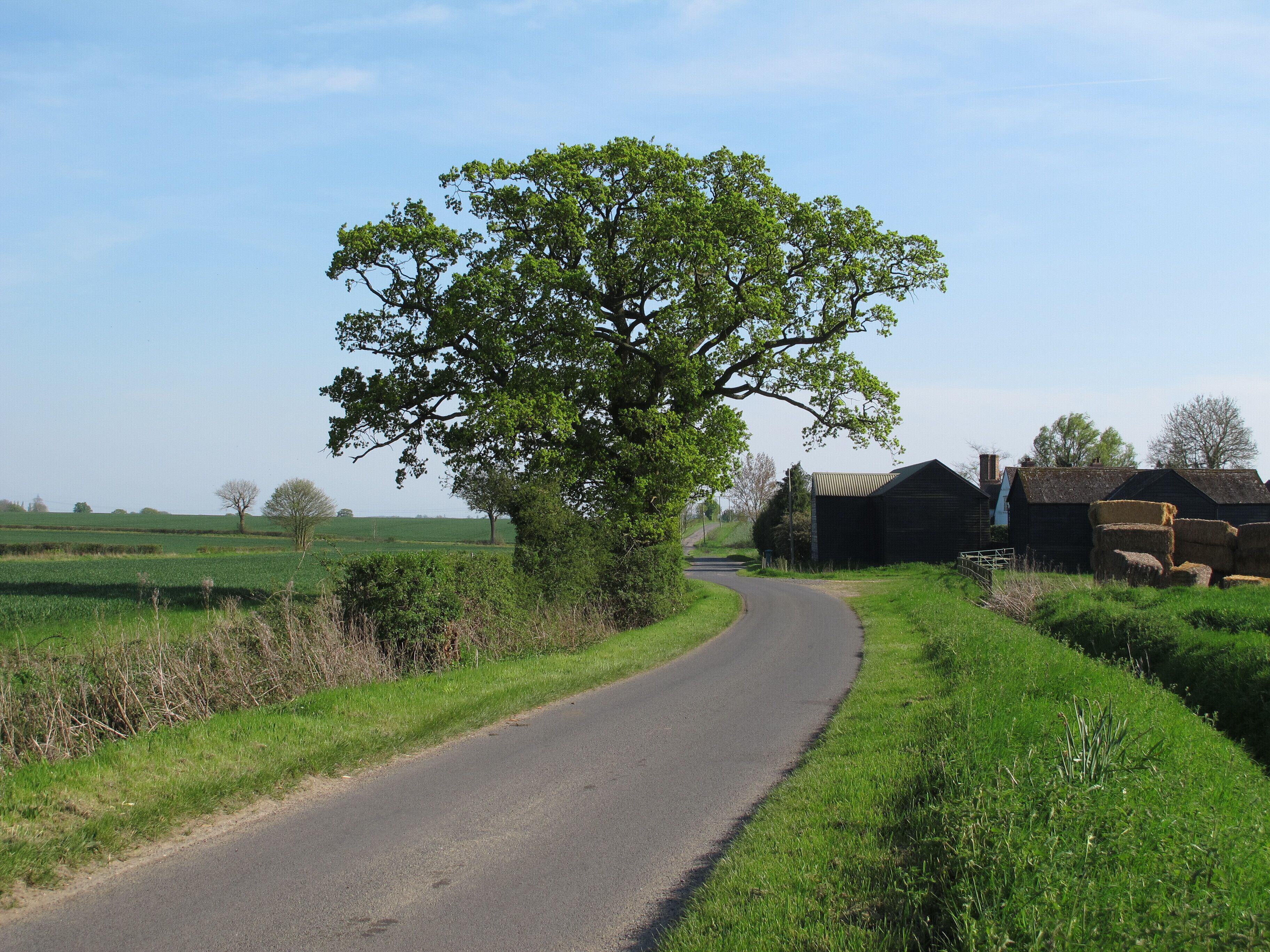Finchingfield Road near Lakehouse Farm, Hempstead