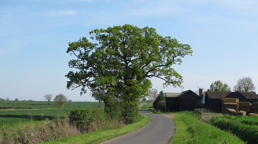 Finchingfield Road near Lakehouse Farm, Hempstead
