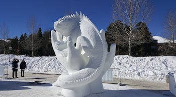 Snow scultures