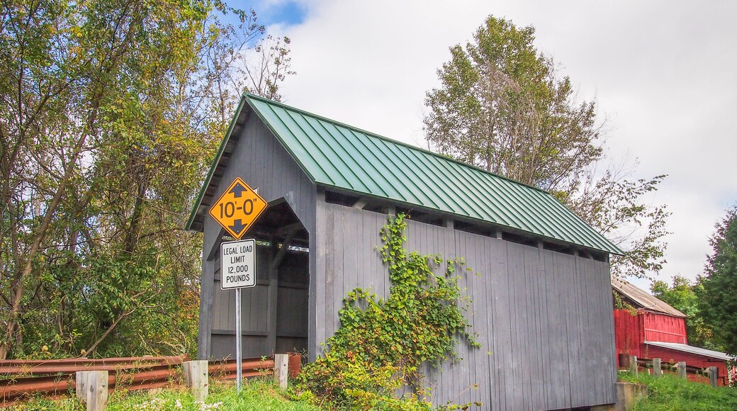 A covered bridge with a green roof, a 10-0' clearance sign, and a legal load limit sign.