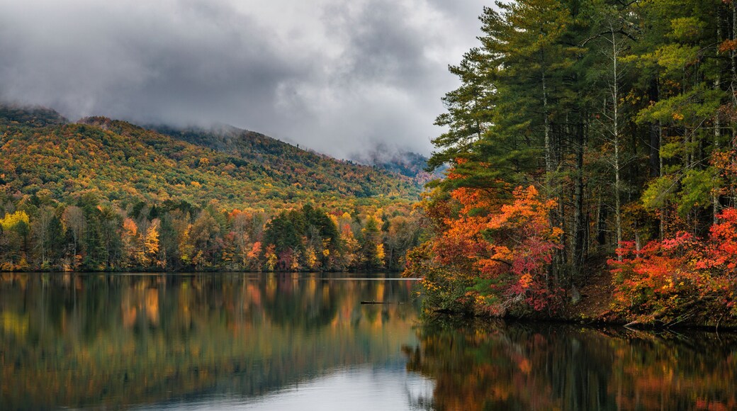Bulls Gap