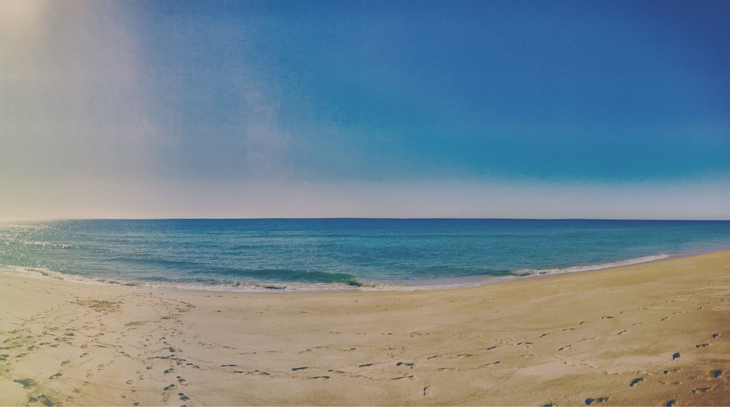 Whole beach to ourselves! The beach in Faro is often overlooked in favour of the other beaches along the Algarve, making it quiet and unspoilt. Close to the airport, it's definitely worth a visit!