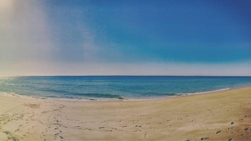 Whole beach to ourselves! The beach in Faro is often overlooked in favour of the other beaches along the Algarve, making it quiet and unspoilt. Close to the airport, it's definitely worth a visit!