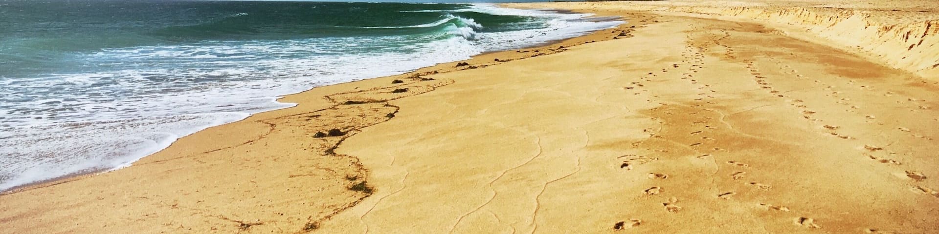 Footprints in the sand. What a beautiful beach.